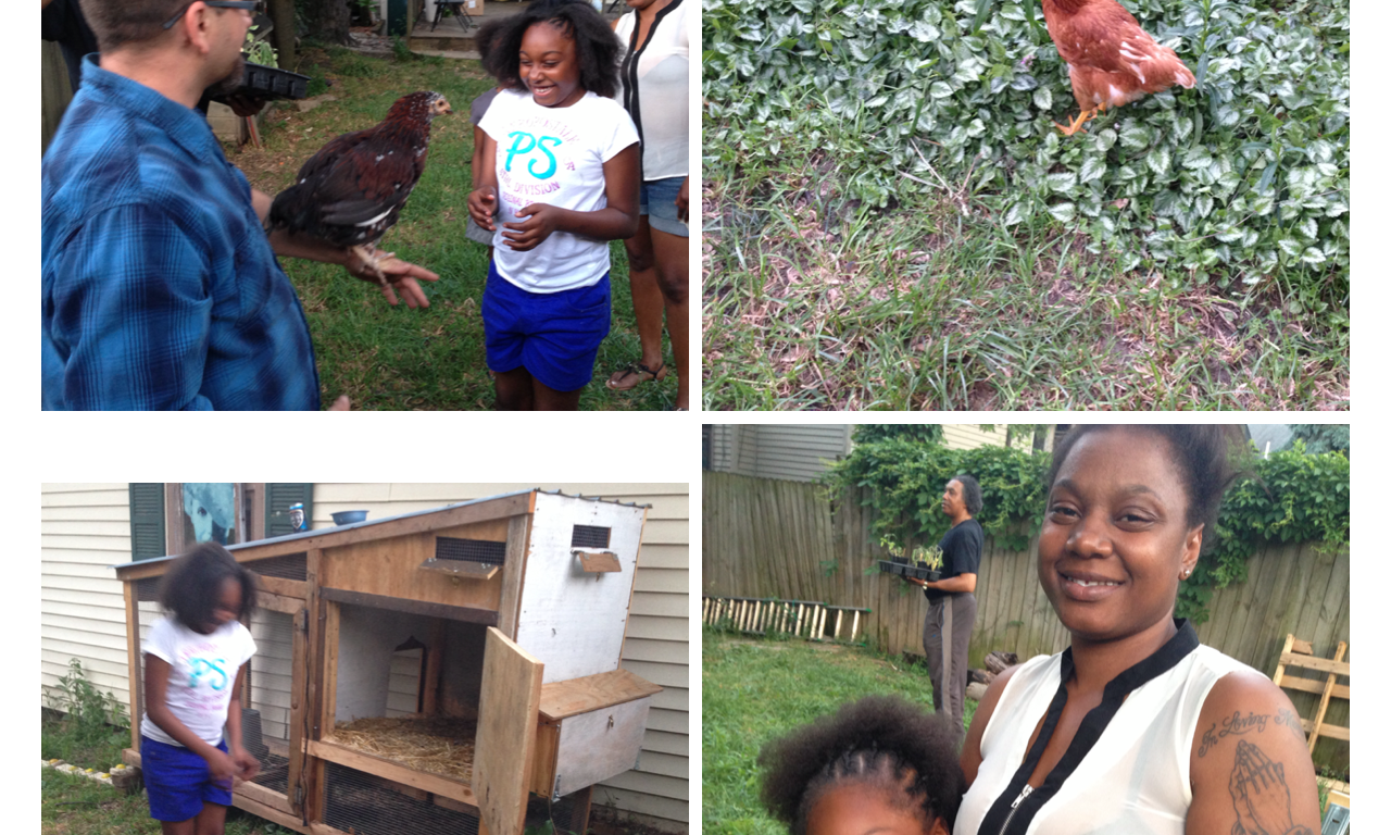 weinland park chickens