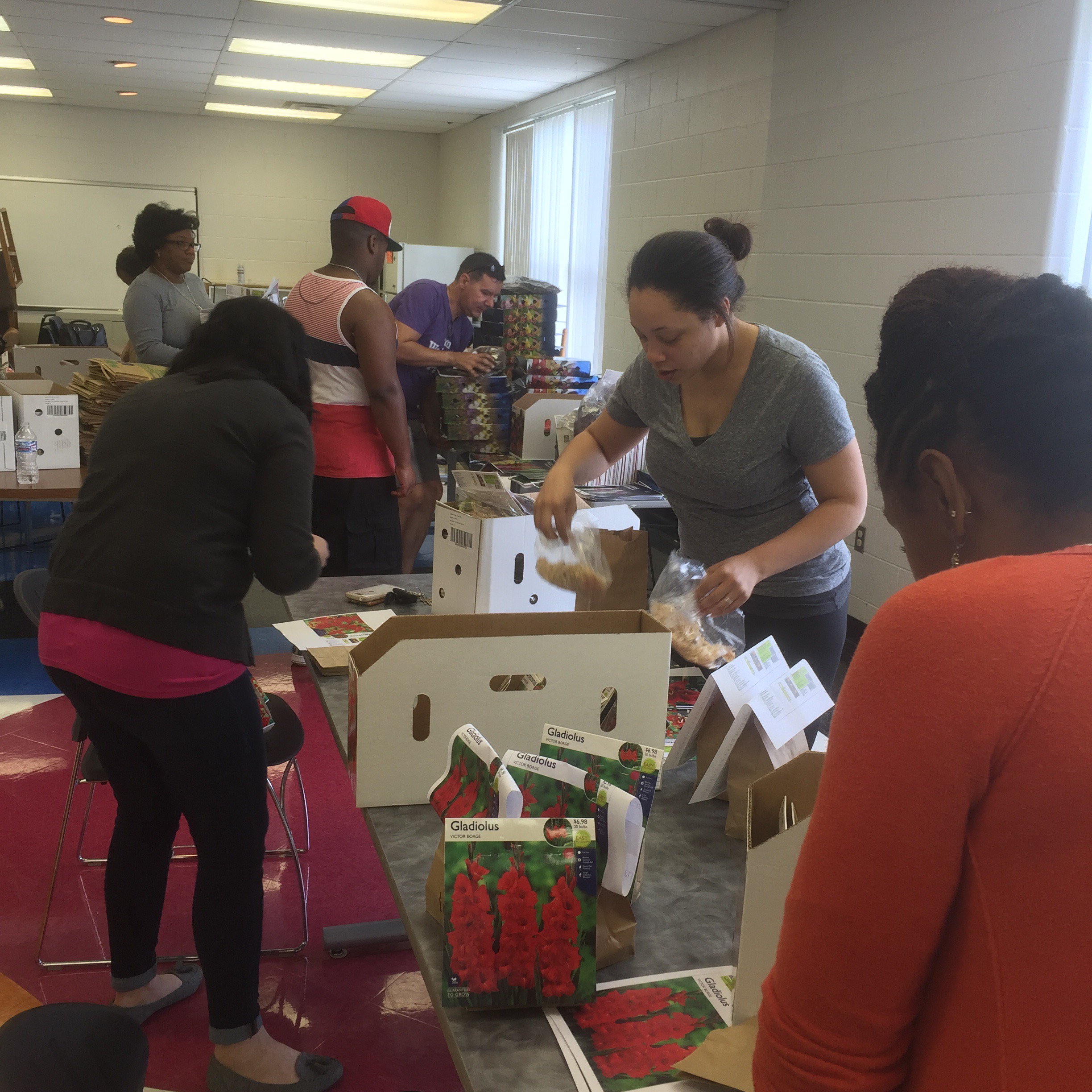 sorting bulbs at godman guild