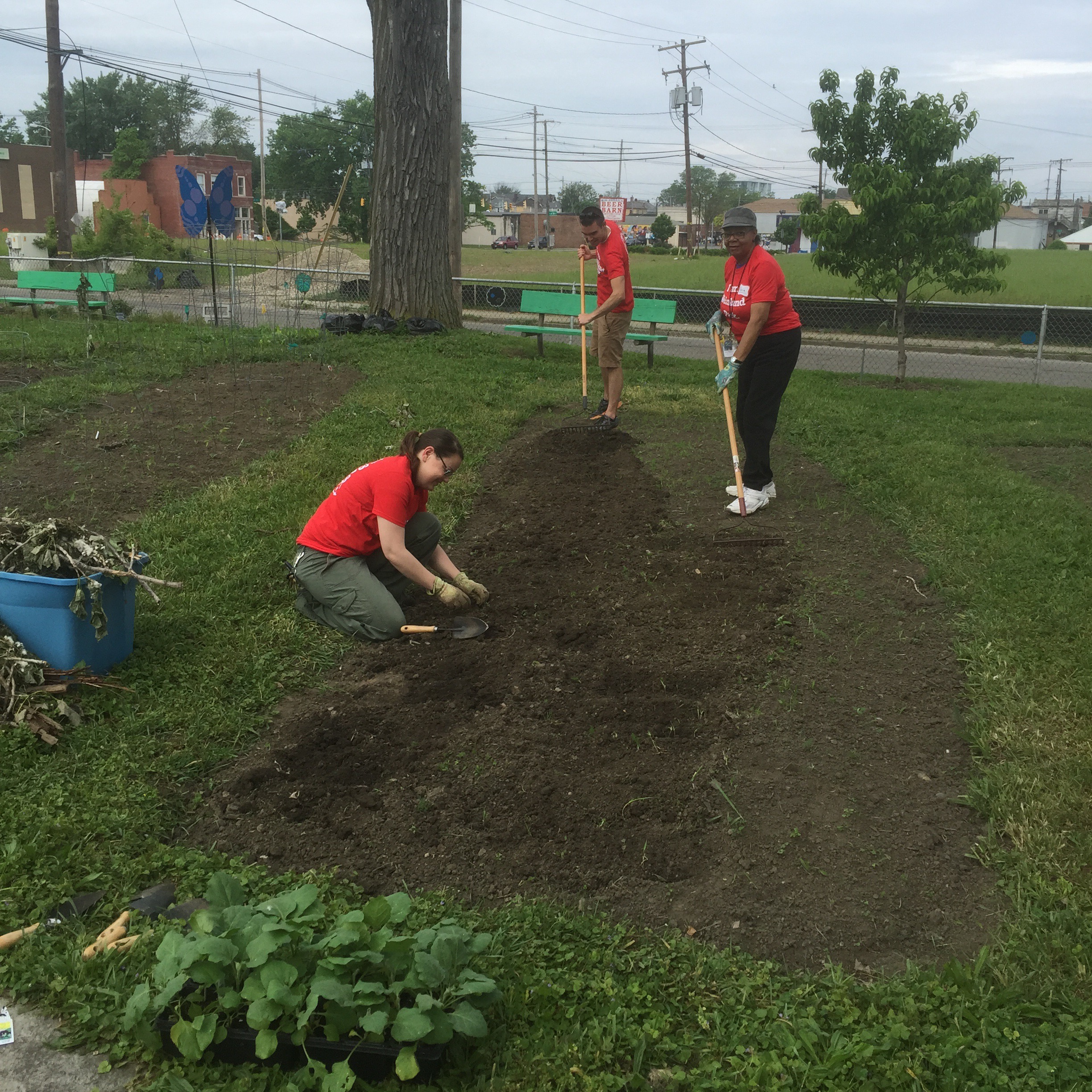 weinland park community gardens