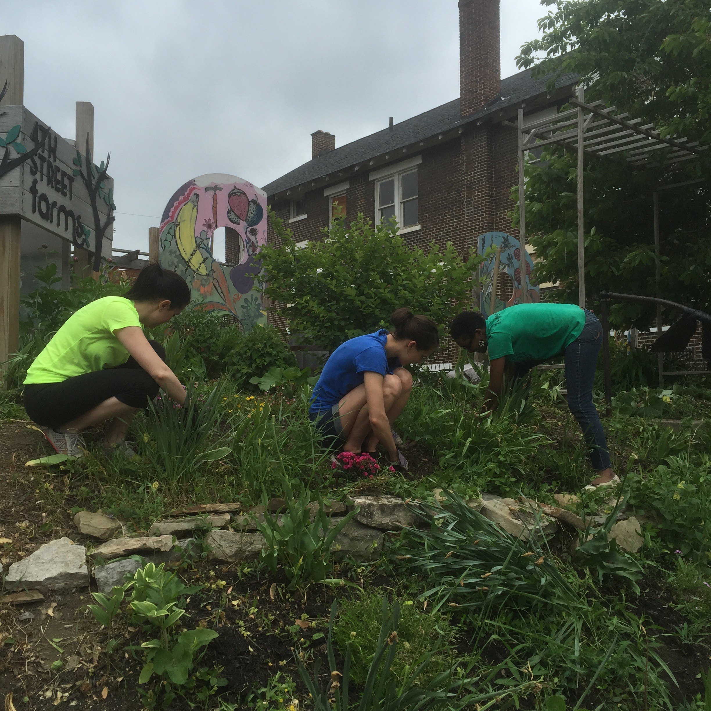 volunteers plant flowers in weinland park