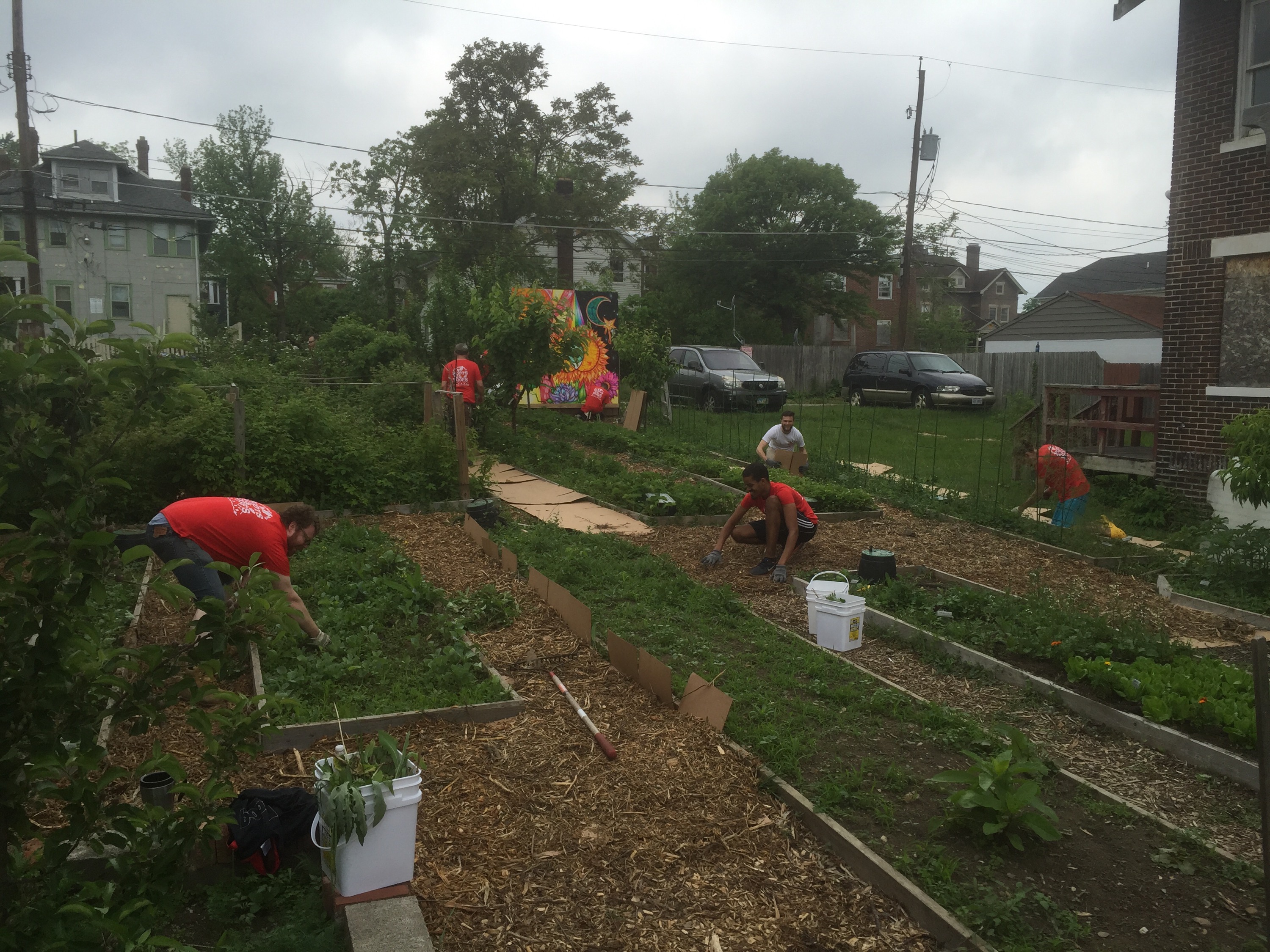 sustainable weinland park