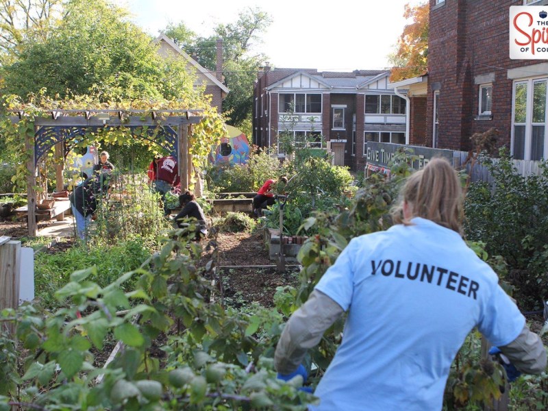 Fall Harvest & Garden Prep