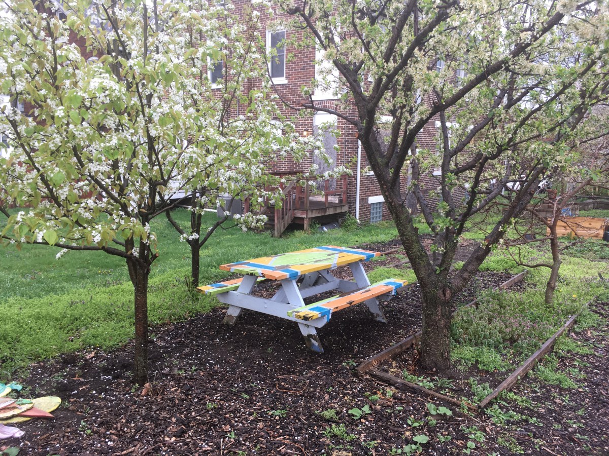 May 2021 Garden Update